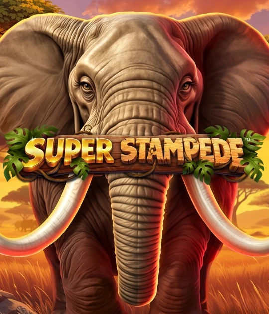 Super Stampede — BetSoft